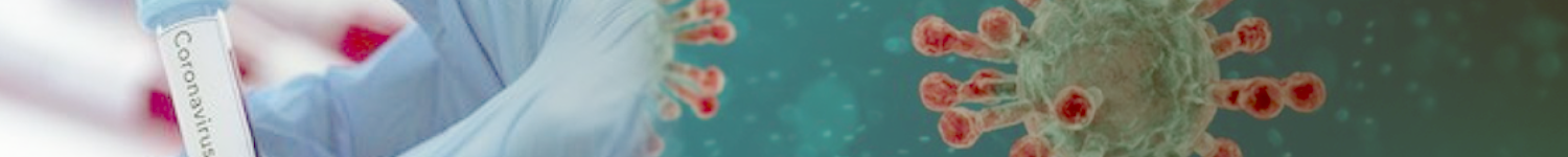 Example alternate text