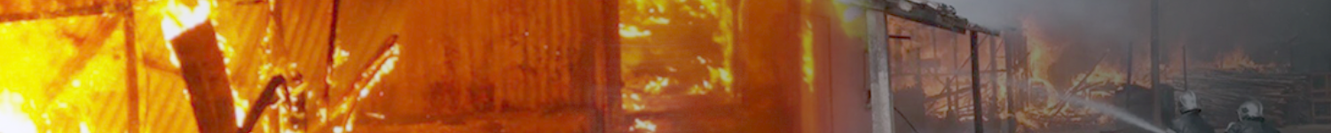 Example alternate text